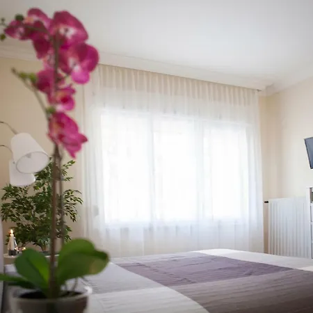 Synagogue View 布达佩斯