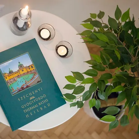 Synagogue View * 布达佩斯