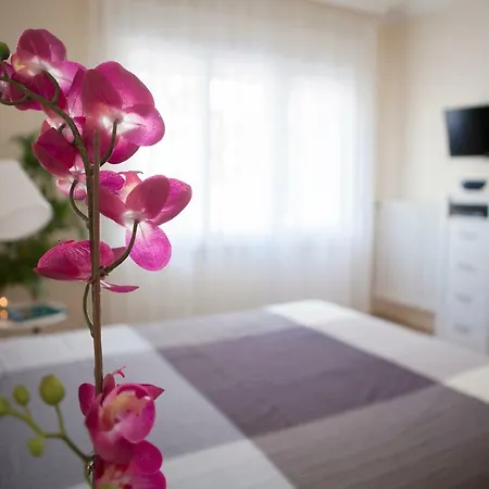 Synagogue View 公寓