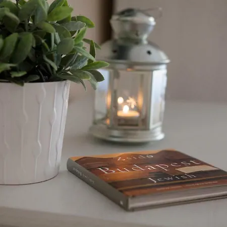 Synagogue View 公寓 *