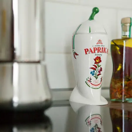 Synagogue View 布达佩斯