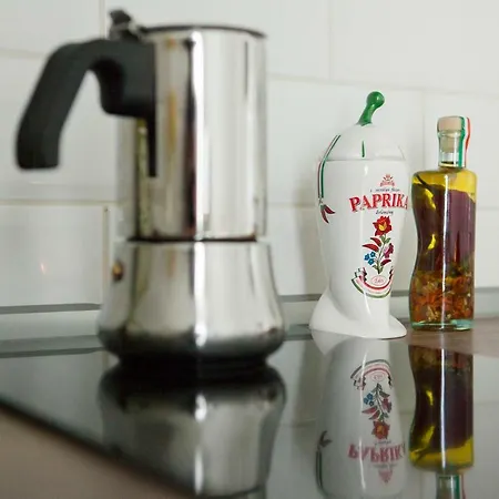 Synagogue View * 布达佩斯