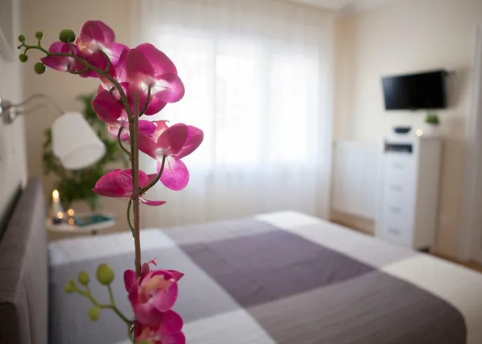 Synagogue View Apartment