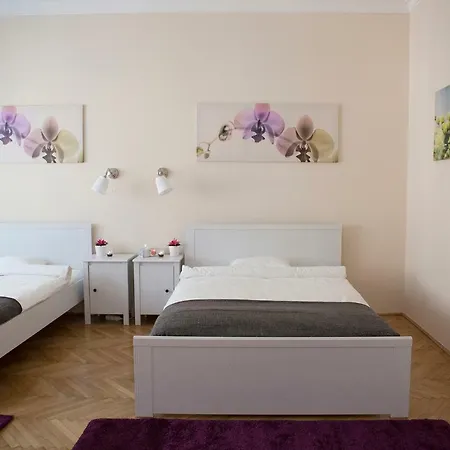 Apartment Synagogue View *