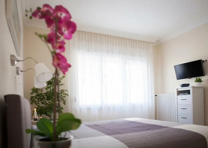 Synagogue View Будапешт