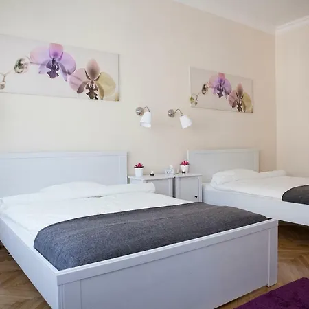 Synagogue View Apartment